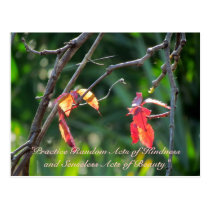 Random Acts of Kindness Postcard - Fall Leaves postcards