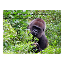 Random Acts of Kindness Postcard - Gorilla Edition postcards