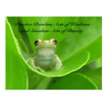 Random Acts of Kindness Postcard - Green Tree Frog postcards