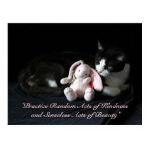 Random Acts of Kindness Postcard - Selene postcards