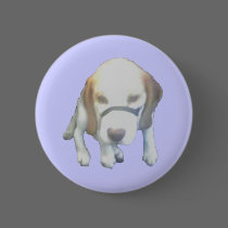 Random Labrador Dog buttons