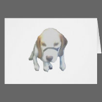 Random Labrador Dog cards