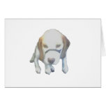 Random Labrador Dog Greeting Card