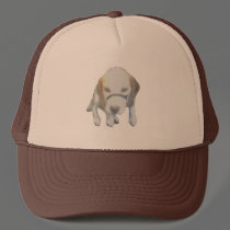 Random Labrador Dog copy hats