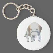 Random Labrador Dog copy keychains
