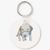 Random Labrador Dog copy keychains
