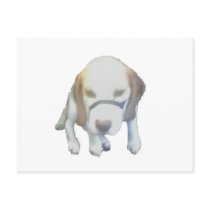 Random Labrador Dog copy postcards by Moondial Random Labrador Dog copy postcards