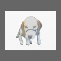 Random Labrador Dog copy postcards