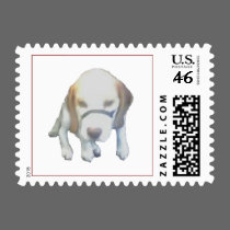 Random Labrador Dog stamps