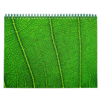 Random nature calendar by dinatemraz Random nature calendar