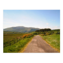 random road in Scotland Postcard
