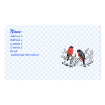 Randy & Randi Robin Business Card