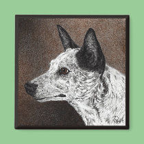 Ranger - Cattle Dog Magnet magnets