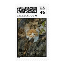 Ranger in a tree. postage stamps