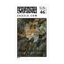 Ranger in a tree. postage stamps