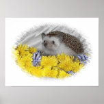 Rani and the Dandelions posters