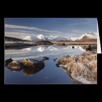 Rannoch Moor cards