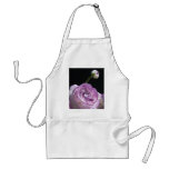 Ranunculus asiaticus White Persian buttercup II aprons