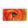Ranunculus Macro Photocard Picture Card
