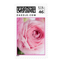 Ranunculus Postage