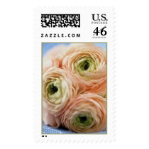 Ranunculus postage by jrs881 Ranunculus postage