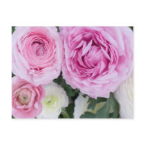 Ranunculus Postcard