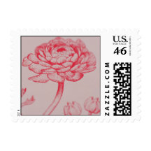 RANUNCULUS ROSE  STAMP
