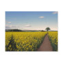 rape seed field oxfordshire post card