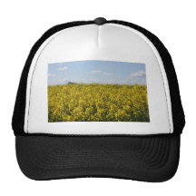 Rapeseed flowers in Somerset field, UK Mesh Hats