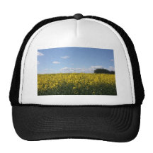 Rapeseed flowers in Somerset field, UK Mesh Hats