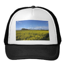 Rapeseed flowers in Somerset field, UK Trucker Hat