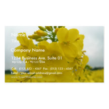 Rapeseed In Field Business Cards