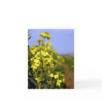 Rapeseed Path note cards cards