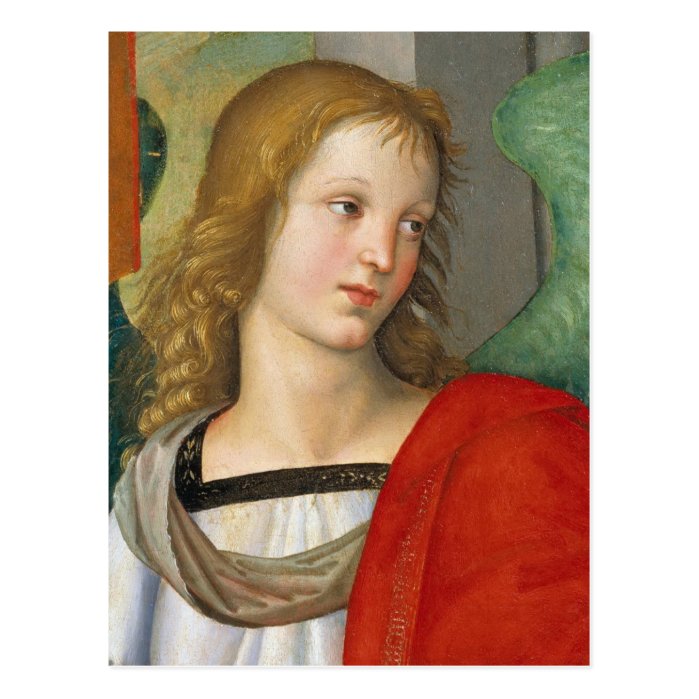 Raphael Angel from the Baronci altarpiece CC0840 Postcard