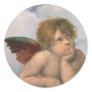 raphael Angel Sticker's