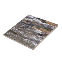 Rapid water flowing over natural rocks ceramic tiles
