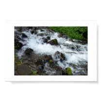 Rapids. posters by Acorns_tree Rapids. posters