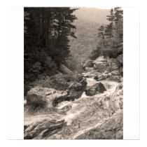 Rapids posters