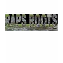 raps roots Supports local hip hop shirt