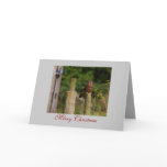 Raptor Christmas Cards
