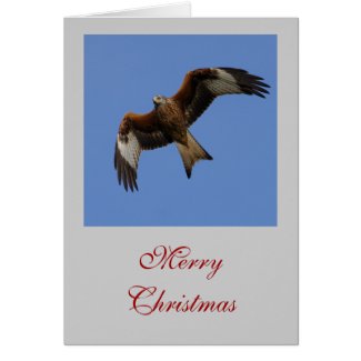 Raptor Christmas Cards card