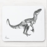Raptor mousepads