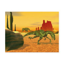 Raptors postcards