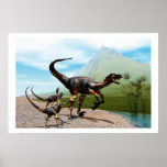 RAPTORS PRINT