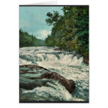 Raquette Falls, Adirondack Mountains rare Photochr Greeting Cards