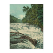 Raquette Falls on the Raquette River Post Cards