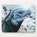 Rare,  Blue-Iguana endangered speces. mousepads
