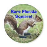 Rare Florida Squirrel