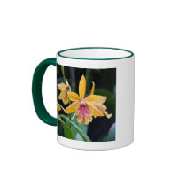 Rare mugs
