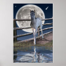 Rare Mustang Colt Horse Fantasy Art Print Poster